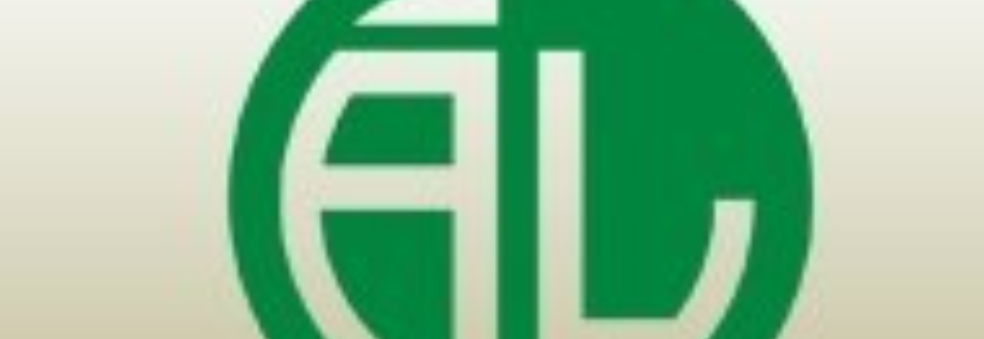 Hallingtreffen 3 på Ål (Vermelie)